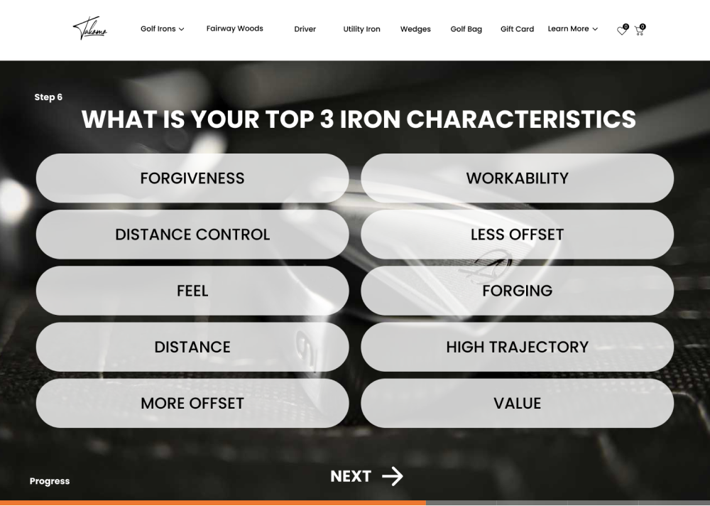 Step 6: Top 3 Iron Characteristics